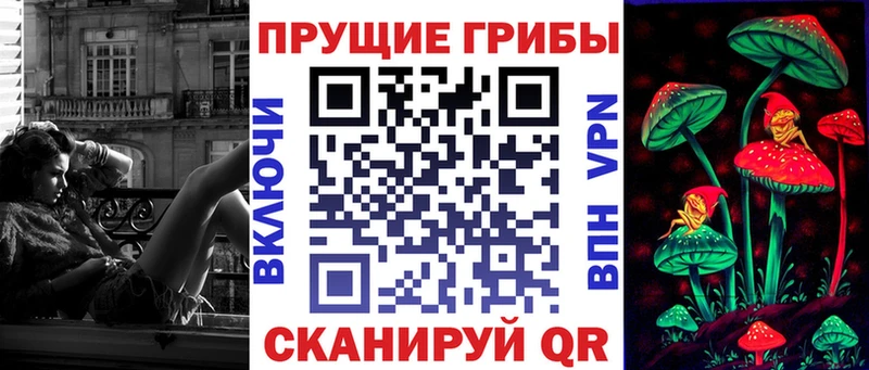 Псилоцибиновые грибы Cubensis  Балашиха 